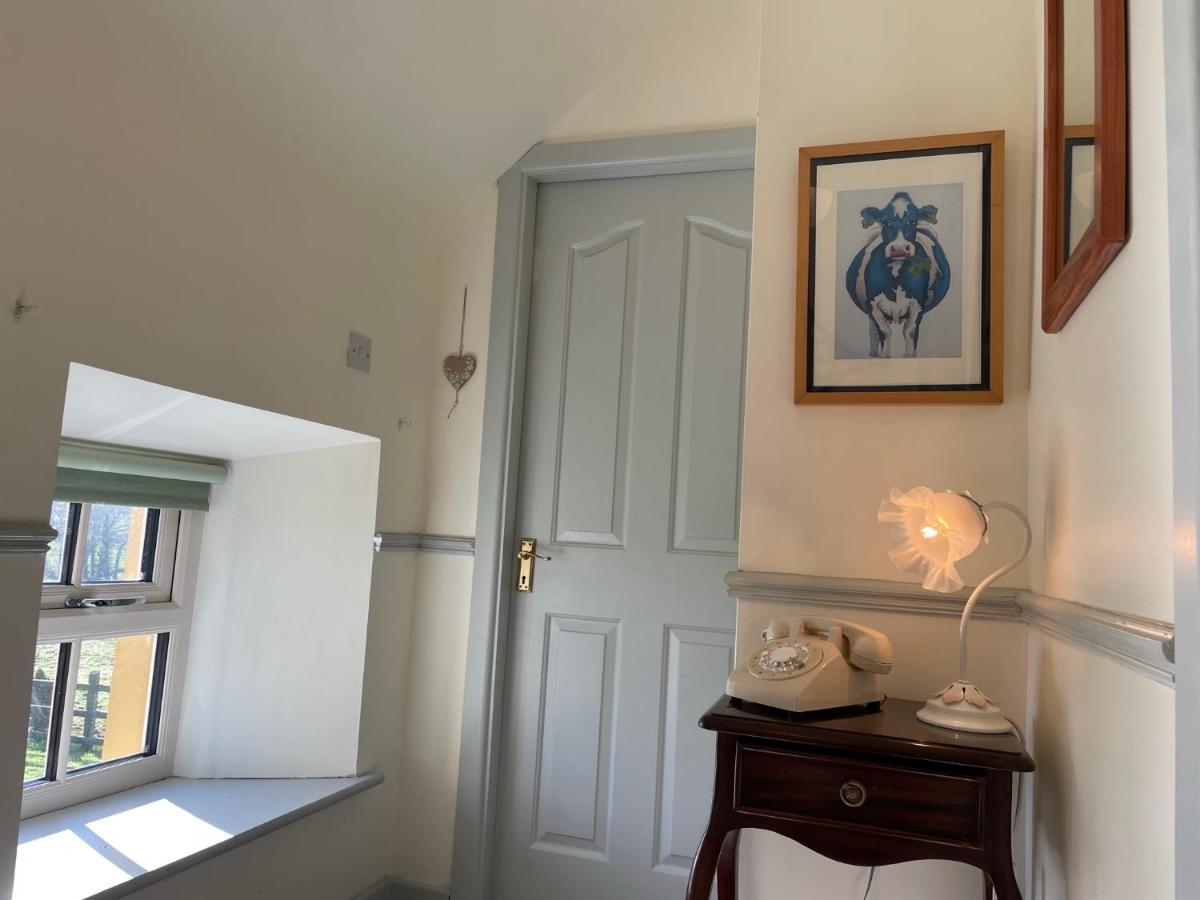 Mai'S Cottage Suite - Charming Holiday Rental Kilmallock Eksteriør bilde